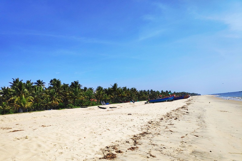 The Most Beautiful Beaches in Kerala